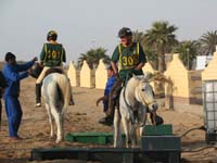/international/2006Walvisbay/images/Final/thumbnails/final 036.jpg